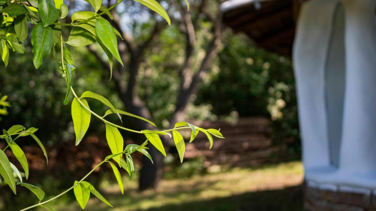 Clay House Banya Villa Banya  Exterior photo